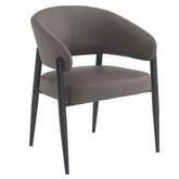 Bronson Dining Chair, set of 2