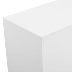 2 Door Accent Cabinet