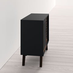 Berna 2 Door Accent Cabinet
