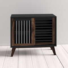 Berna 2 Door Accent Cabinet