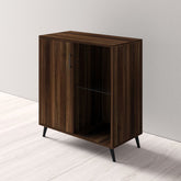 Beya 1 Door Accent Cabinet