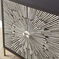 Charters Towers 2 Door Accent Cabinet