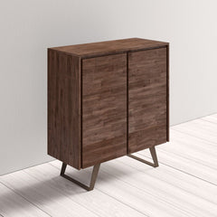 Midway 2 Door Accent Cabinet