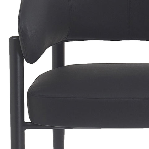 Bronson Dining Chair, set of 2