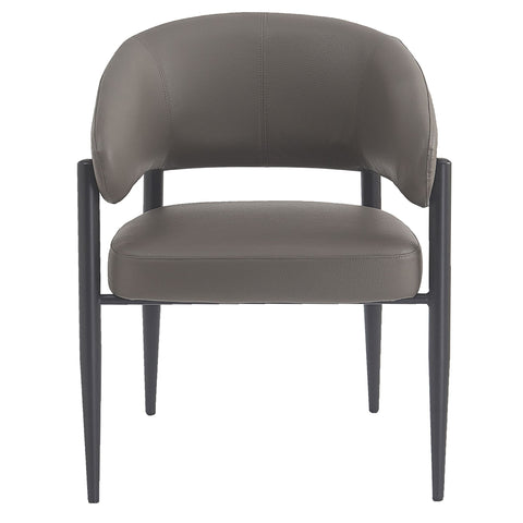Bronson Dining Chair, set of 2
