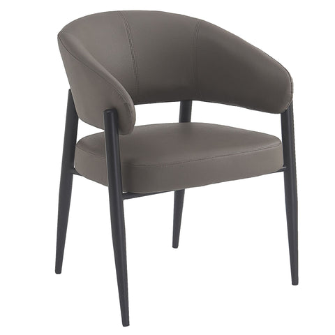 Bronson Dining Chair, set of 2