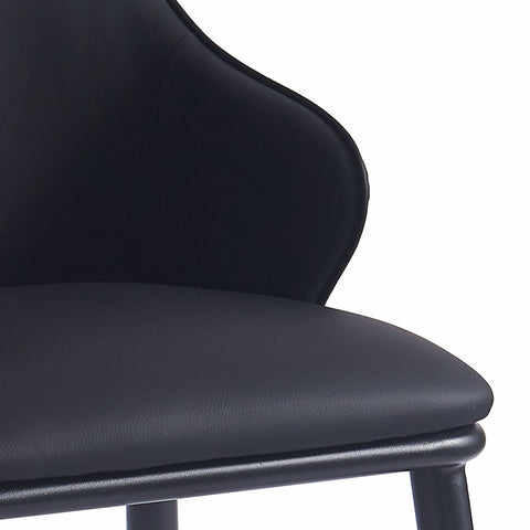 Kash Dining Chair, set of 2,