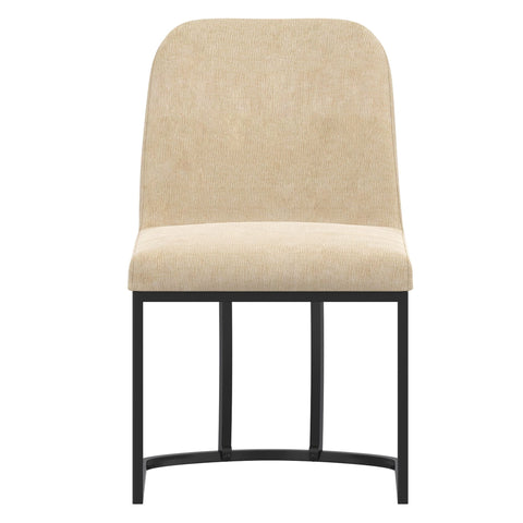 Dario Dining Chair, Set of 2