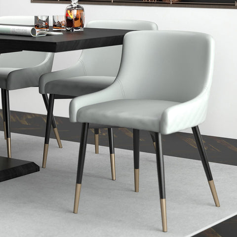 Xander Dining Chair, set of 2,