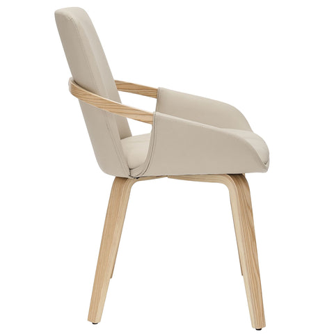 Caspian Dining Chair, set of 2