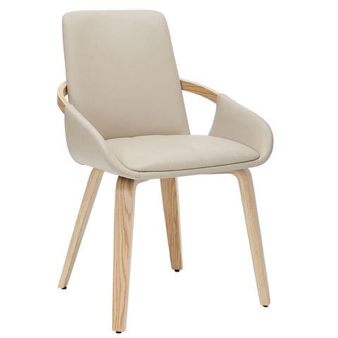 Caspian Dining Chair, set of 2