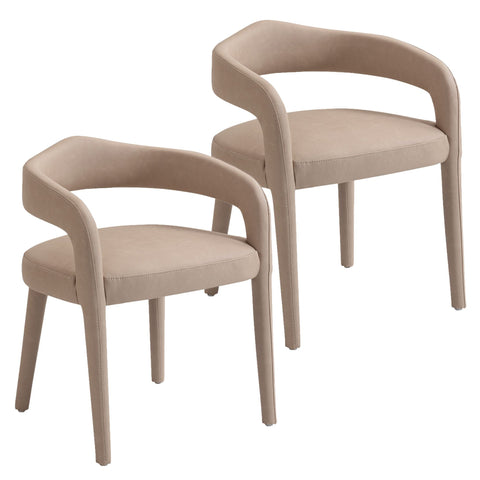 Caden Dining/Lounge Chair, Set of 2