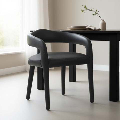 Caden Dining/Lounge Chair, Set of 2