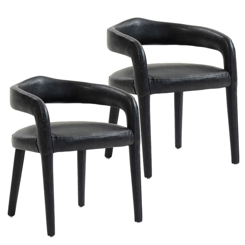 Caden Dining/Lounge Chair, Set of 2