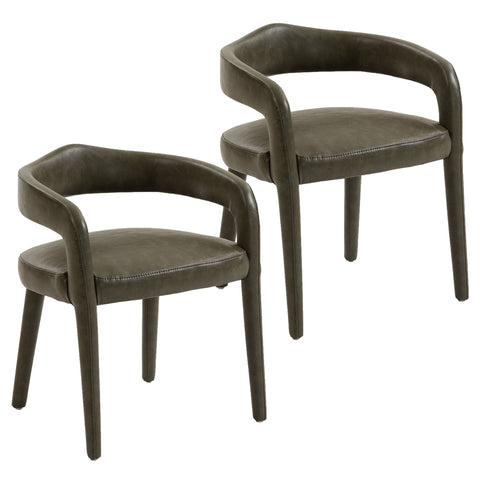 Caden Dining/Lounge Chair, Set of 2