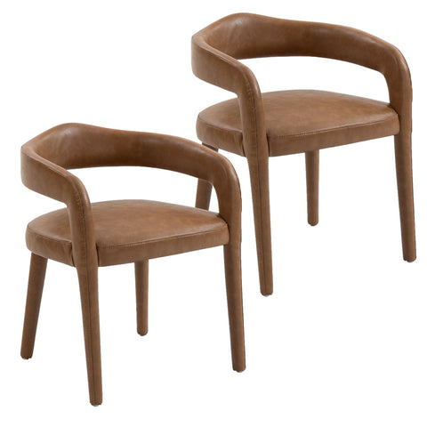 Caden Dining/Lounge Chair, Set of 2