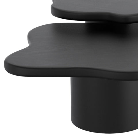 Mayal Large Coffee Table