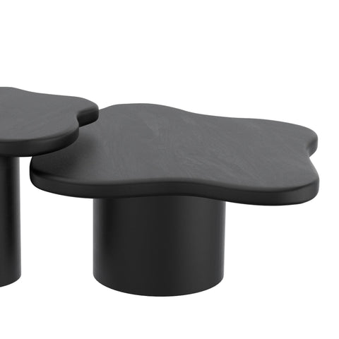 Mayal Large Coffee Table