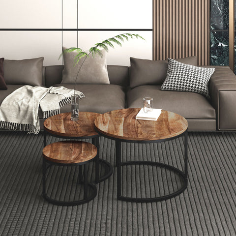 Darsh 3pc Coffee Table Set