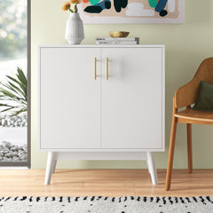 2 Door Accent Cabinet