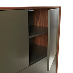 Albano 4 Door Apothecary Accent Cabinet