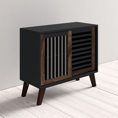 Berna 2 Door Accent Cabinet