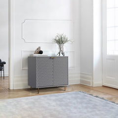 Maximiliano 2 Door Apothecary Accent Cabinet